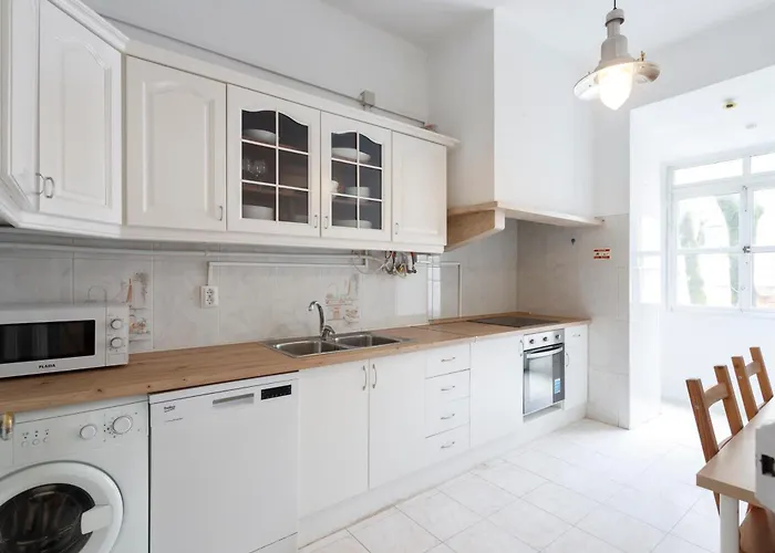 The Palm Leaf - Soc *