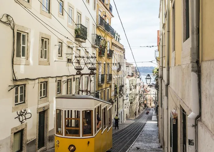 The Palm Leaf - Soc Lisboa